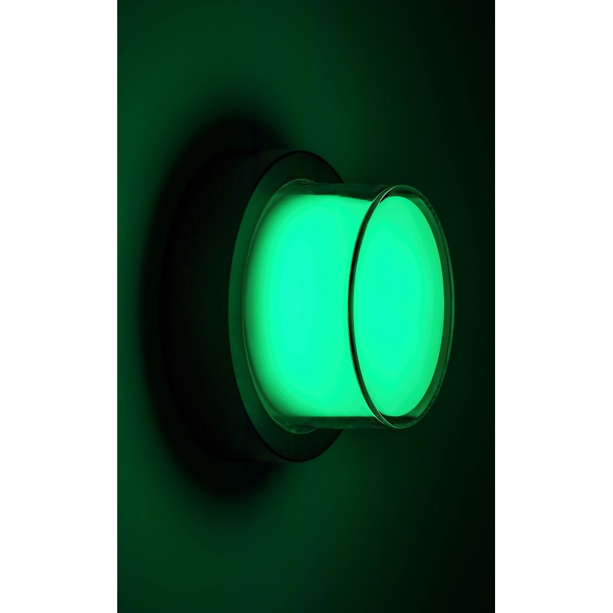 Rabalux - LED RGBW prigušiva spoljašnja zidna svetiljka LED/10W/230V IP54 Wi-Fi Tuya