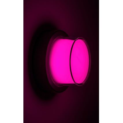Rabalux - LED RGBW prigušiva spoljašnja zidna svetiljka LED/10W/230V IP54 Wi-Fi Tuya
