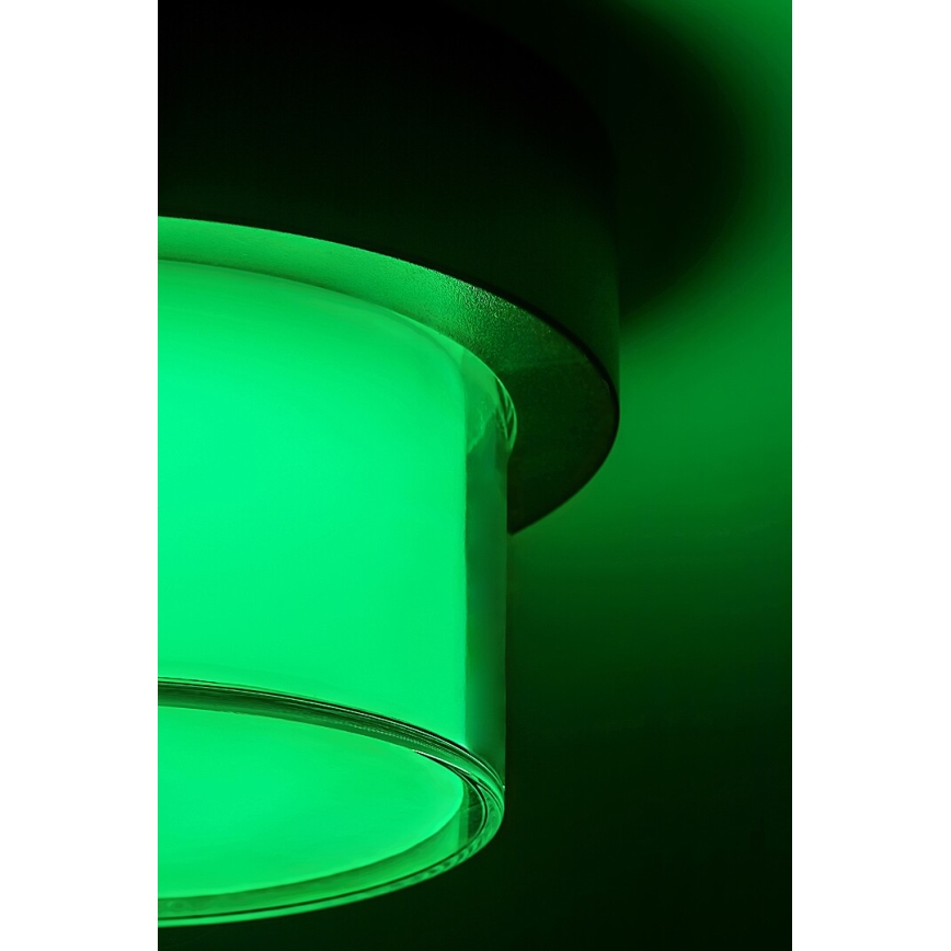 Rabalux - LED RGBW prigušiva spoljašnja zidna svetiljka LED/10W/230V IP54 Wi-Fi Tuya