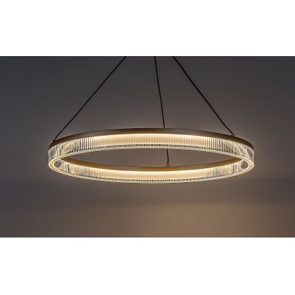 Rabalux - LED prigušiva luster na sajli LED/24W/230V 3000-6500K + daljinsko upravljanje