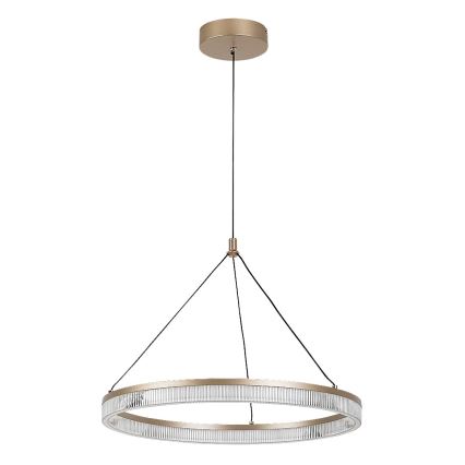 Rabalux - LED prigušiva luster na sajli LED/24W/230V 3000-6500K + daljinsko upravljanje
