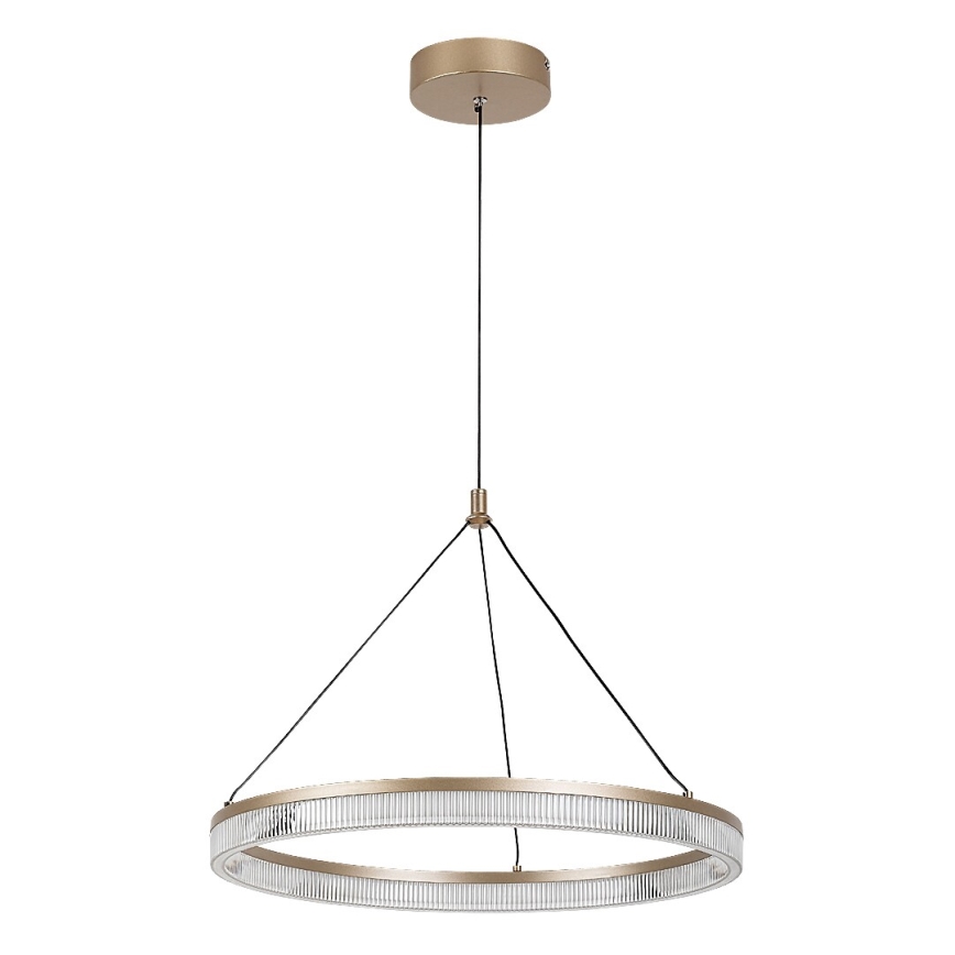 Rabalux - LED prigušiva luster na sajli LED/24W/230V 3000-6500K + daljinsko upravljanje