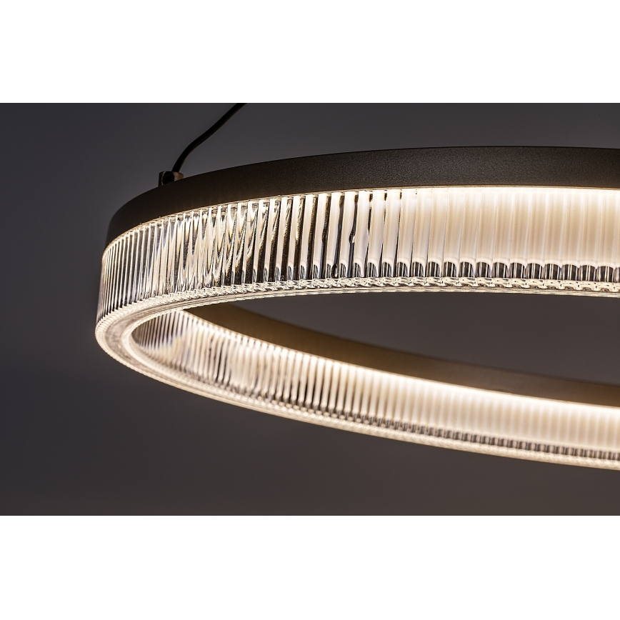 Rabalux - LED prigušiva luster na sajli LED/24W/230V 3000-6500K + daljinsko upravljanje