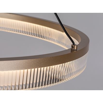 Rabalux - LED prigušiva luster na sajli LED/24W/230V 3000-6500K + daljinsko upravljanje