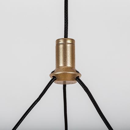 Rabalux - LED prigušiva luster na sajli LED/24W/230V 3000-6500K + daljinsko upravljanje