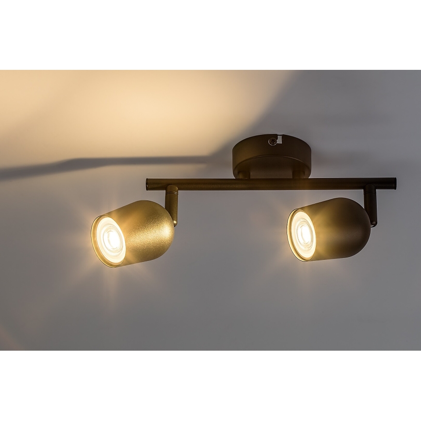 Rabalux - Spot svetlo 2xGU10/15W/230V crno
