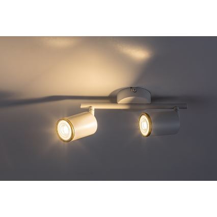 Rabalux - Spot svetlo 2xGU10/15W/230V bela