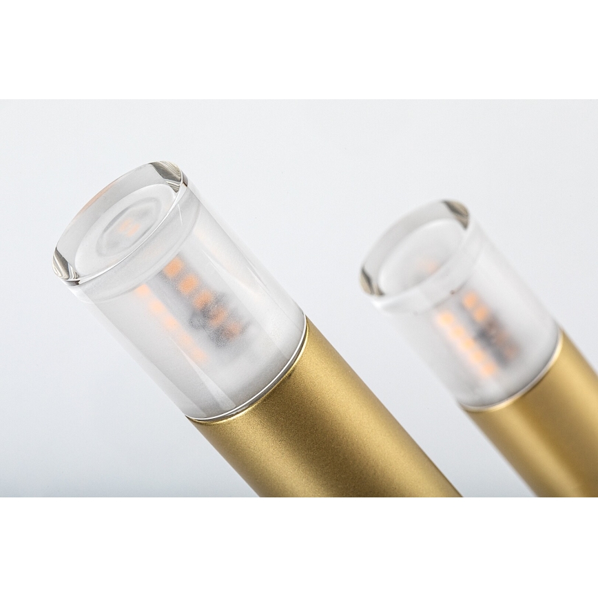 Rabalux - Stona lampa 3xG9/5W/230V zlatna