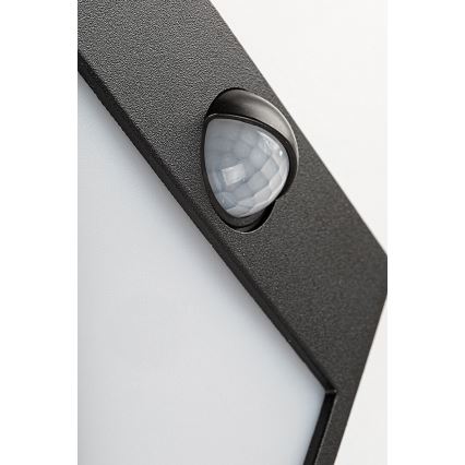 Rabalux - LED spoljašnje zidno svetlo sa senzorom LED/12W/230V crno IP44
