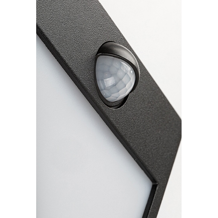 Rabalux - LED spoljašnje zidno svetlo sa senzorom LED/12W/230V crno IP44