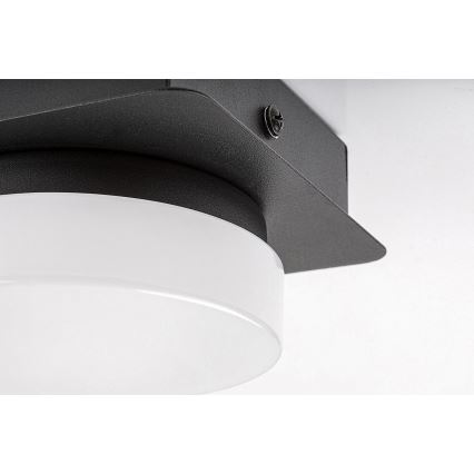 Rabalux - LED plafonsko svetlo za kupatilo LED/5W/230V IP44 4000K crno
