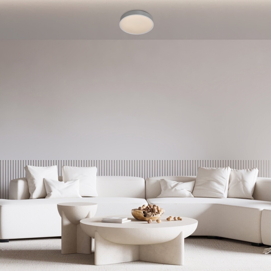 Rabalux - LED plafonsko svetlo LED/18W/230V IP44 4000K, srebrne boje, prečnik 28 cm