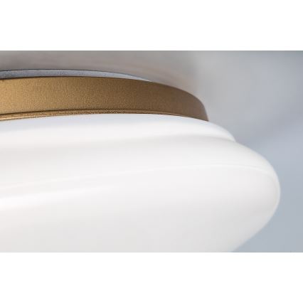 Rabalux - LED plafonsko svetlo za kupatilo LED/24W/230V IP44, prečnik 41 cm