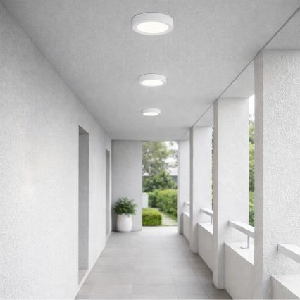 Rabalux - LED plafonsko svetlo za kupatilo LED/24W/230V prečnik 22 cm IP44 belo