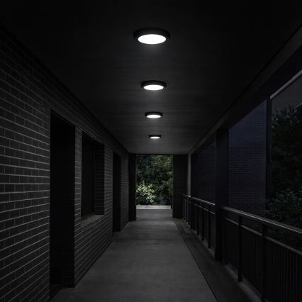 Rabalux - LED plafonsko svetlo za kupatilo LED/24W/230V, prečnik 22 cm, IP44, crno