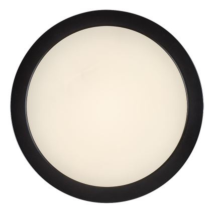 Rabalux - LED plafonsko svetlo za kupatilo LED/24W/230V, prečnik 22 cm, IP44, crno