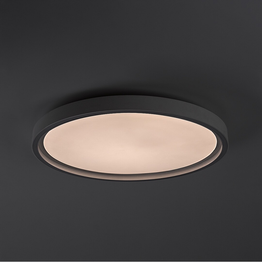 Rabalux - LED prigušiva stropna svetiljka LED/31W/230V IP40 3000-6500K preč. 41,5 cm + daljinski upravljač