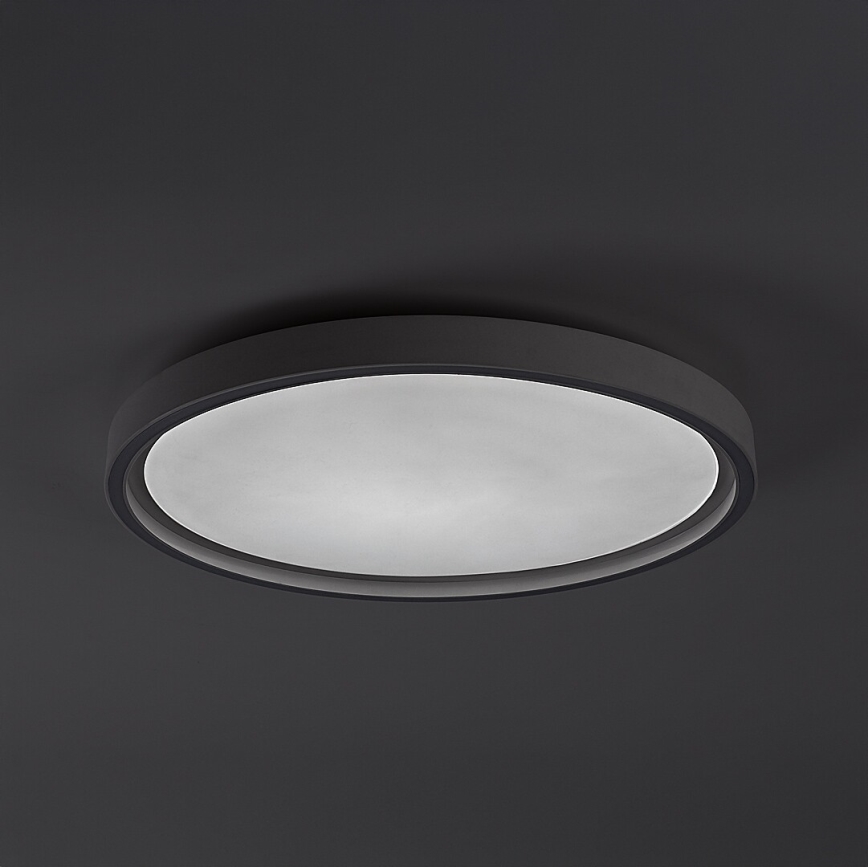Rabalux - LED prigušiva stropna svetiljka LED/31W/230V IP40 3000-6500K preč. 41,5 cm + daljinski upravljač