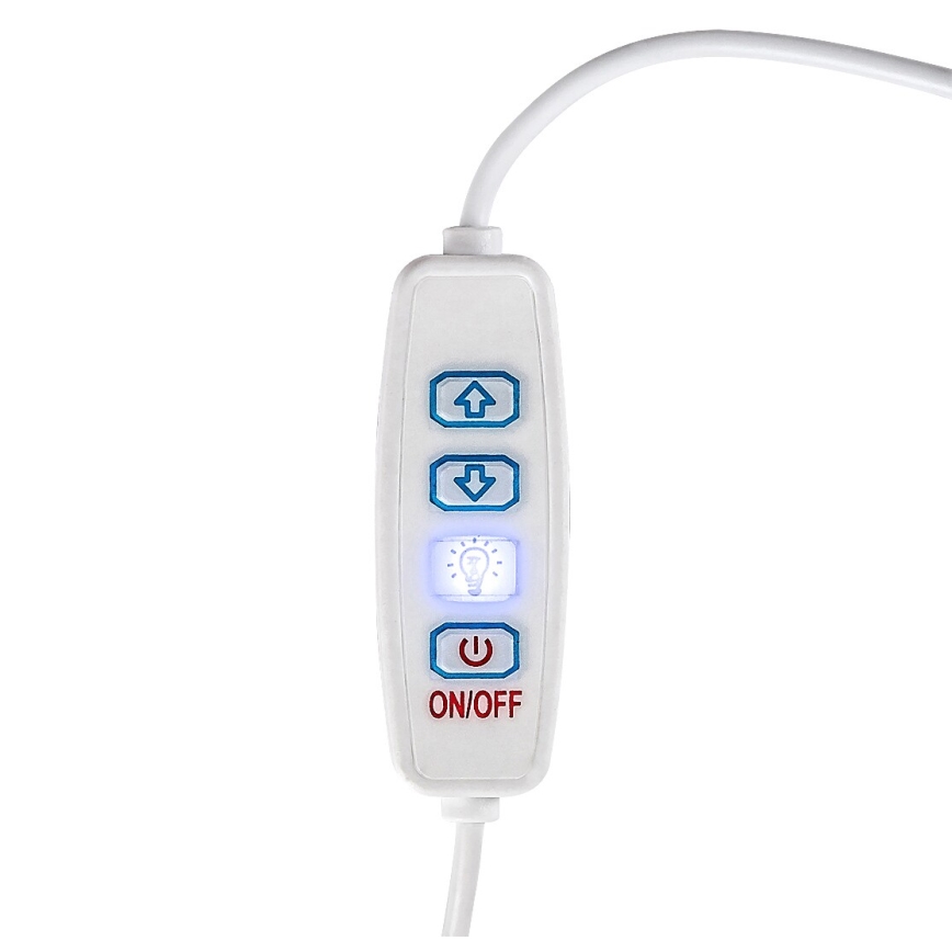 Rabalux - LED prigušiva stolna lampa LED/1,2W/5V 3000K buk