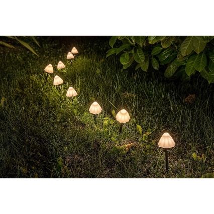 Rabalux - LED solarna svetiljka 10xLED/0,2W/1,2V IP44 300 mAh