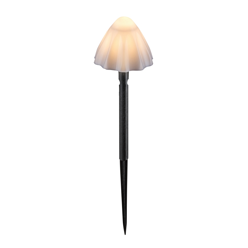Rabalux - LED solarna svetiljka 10xLED/0,2W/1,2V IP44 300 mAh