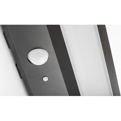 Rabalux - LED solarna svetiljka sa senzorom LED/6W/3,7V IP44 2200 mAh