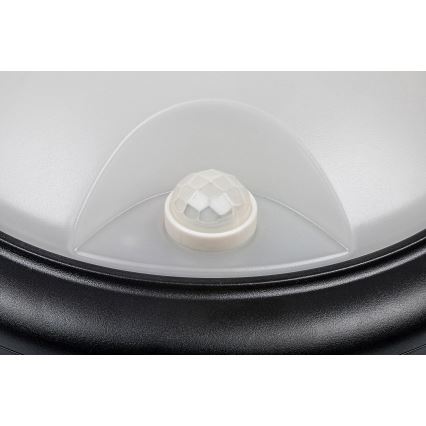Rabalux - LED spoljašnja zidna svetiljka sa senzorom LED/15W/230V IP54