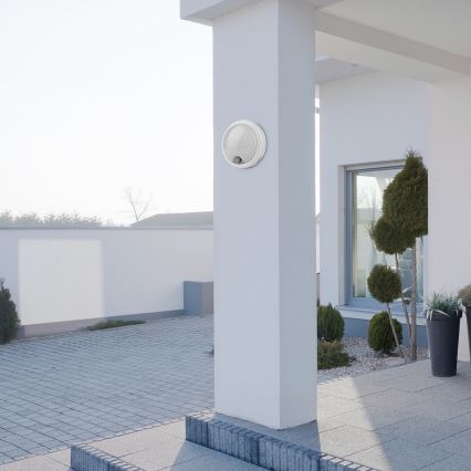 Rabalux - LED spoljašnje zidno svetlo sa senzorom LED/15W/230V IP54