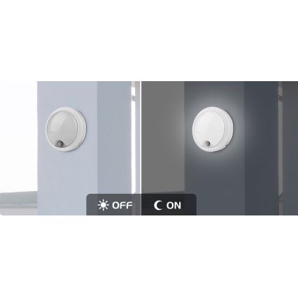 Rabalux - LED spoljašnje zidno svetlo sa senzorom LED/15W/230V IP54