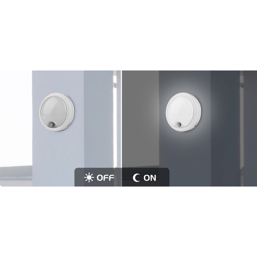 Rabalux - LED spoljašnje zidno svetlo sa senzorom LED/15W/230V IP54