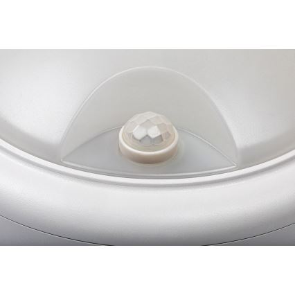 Rabalux - LED spoljašnje zidno svetlo sa senzorom LED/15W/230V IP54