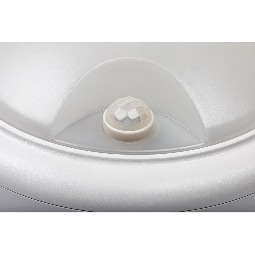 Rabalux - LED spoljašnje zidno svetlo sa senzorom LED/15W/230V IP54