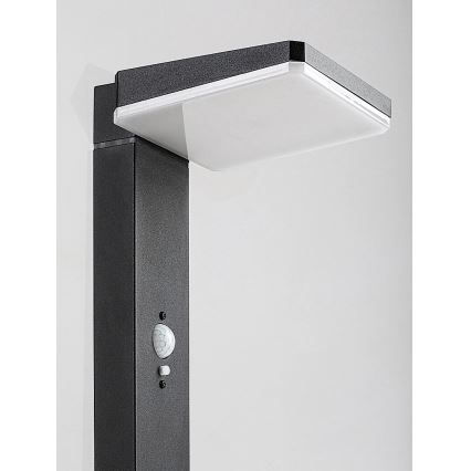 Rabalux - LED prigušiva solarna spoljašnja lampa sa senzorom LED/4,4W/3,7V IP54 antracit 2200 mAh