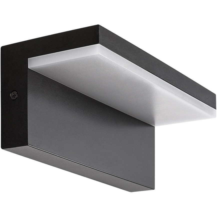 Rabalux - LED spoljašnje zidno svetlo LED/10W/230V IP54 crno