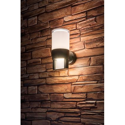 Rabalux - LED spoljno zidno svetlo LED/12W/230V IP44