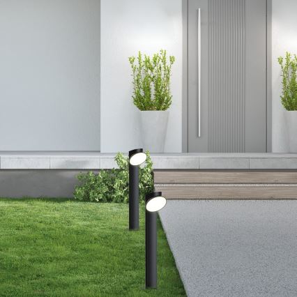 Rabalux - LED spoljna lampa LED/12W/230V IP54