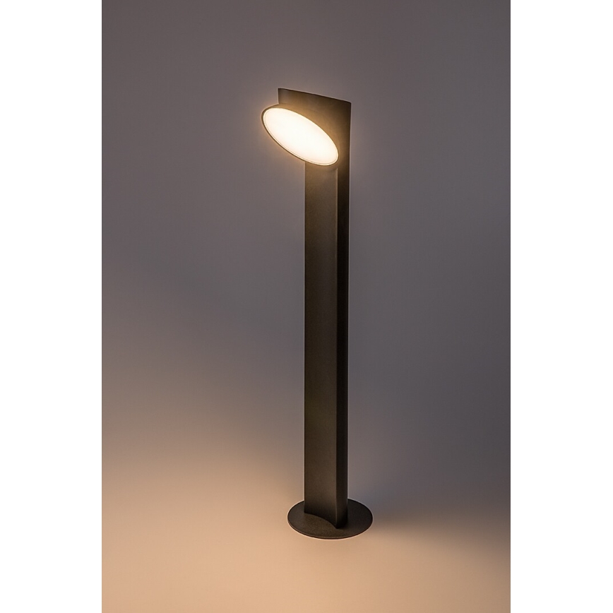 Rabalux - LED spoljna lampa LED/12W/230V IP54