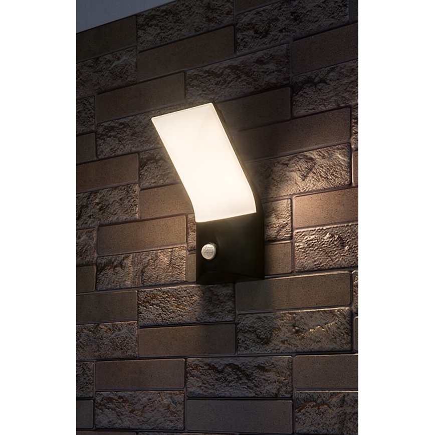Rabalux - LED spoljno zidno svetlo sa senzorom LED/10W/230V IP54