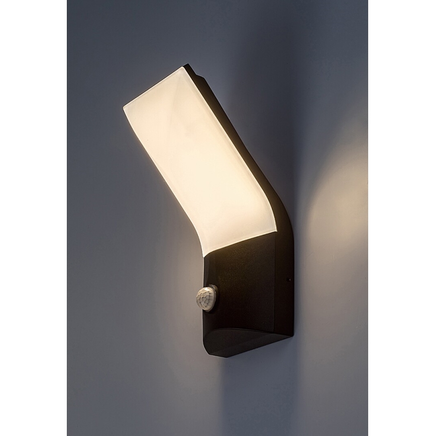 Rabalux - LED spoljno zidno svetlo sa senzorom LED/10W/230V IP54