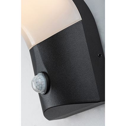 Rabalux - LED spoljno zidno svetlo sa senzorom LED/10W/230V IP54
