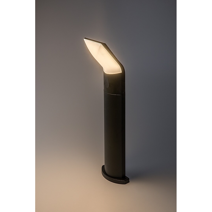 Rabalux - LED spoljašnja lampa LED/10W/230V IP54