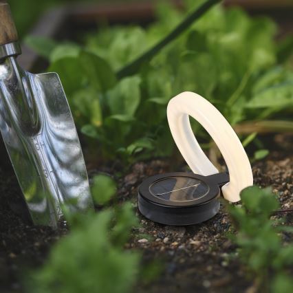 Rabalux - LED Solarna lampa LED/0,05W/1,2V IP44 300 mAh