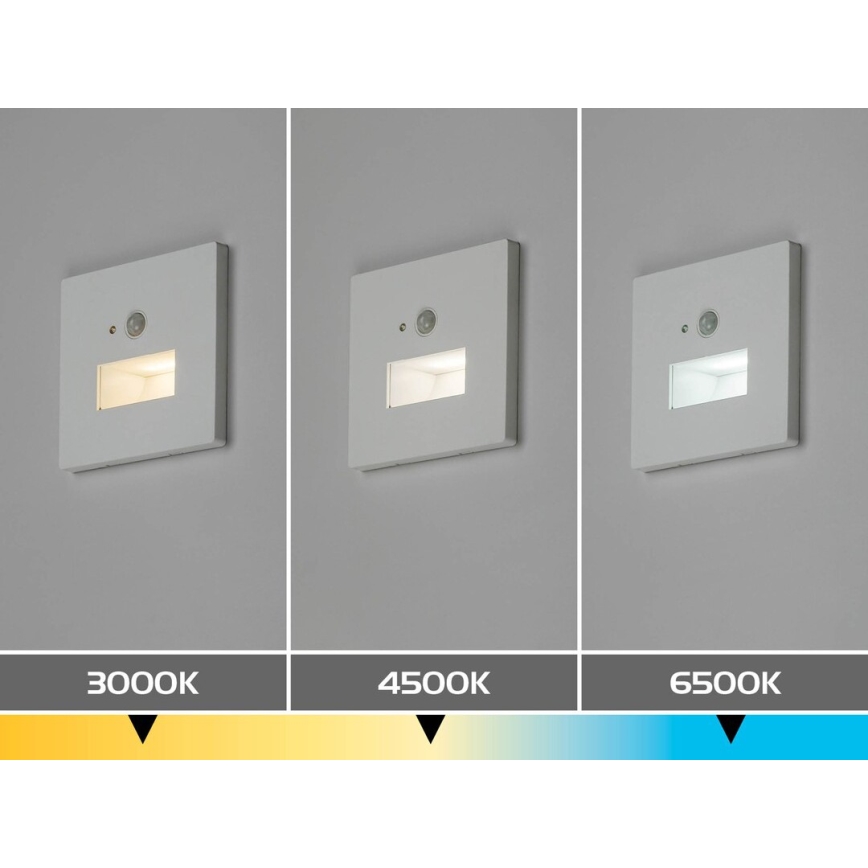 Rabalux - LED svetlo za stepenište sa senzorom pokreta i sumraka, LED/1W/230V, 3000/4500/6500K, bela