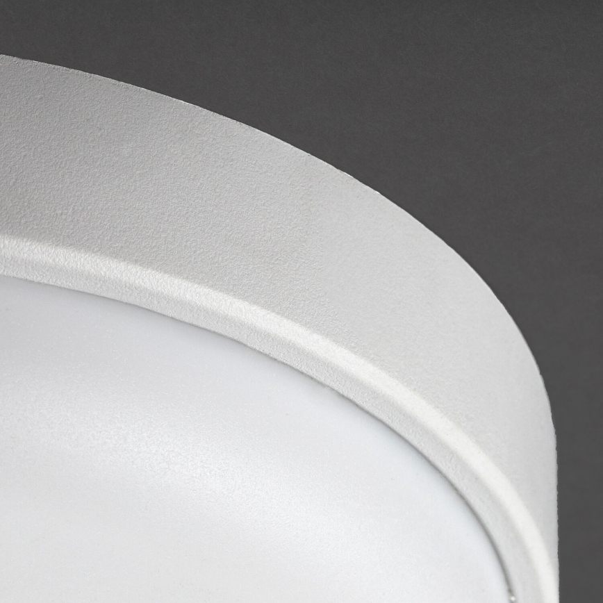 Rabalux - LED Spoljašnje plafonsko svetlo LED/14W/230V IP54 belo