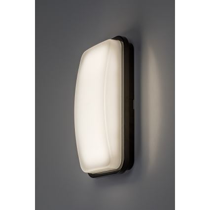 Rabalux - LED spoljašnje zidno svetlo LED/20W/230V 4000K IP65