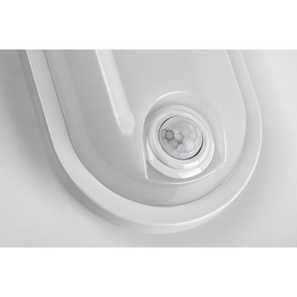 Rabalux - LED spoljno plafonsko svetlo sa senzorom LED/15W/230V IP65 belo