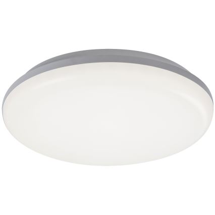 Rabalux - LED spoljašnje plafonsko svetlo LED/24W/230V IP64