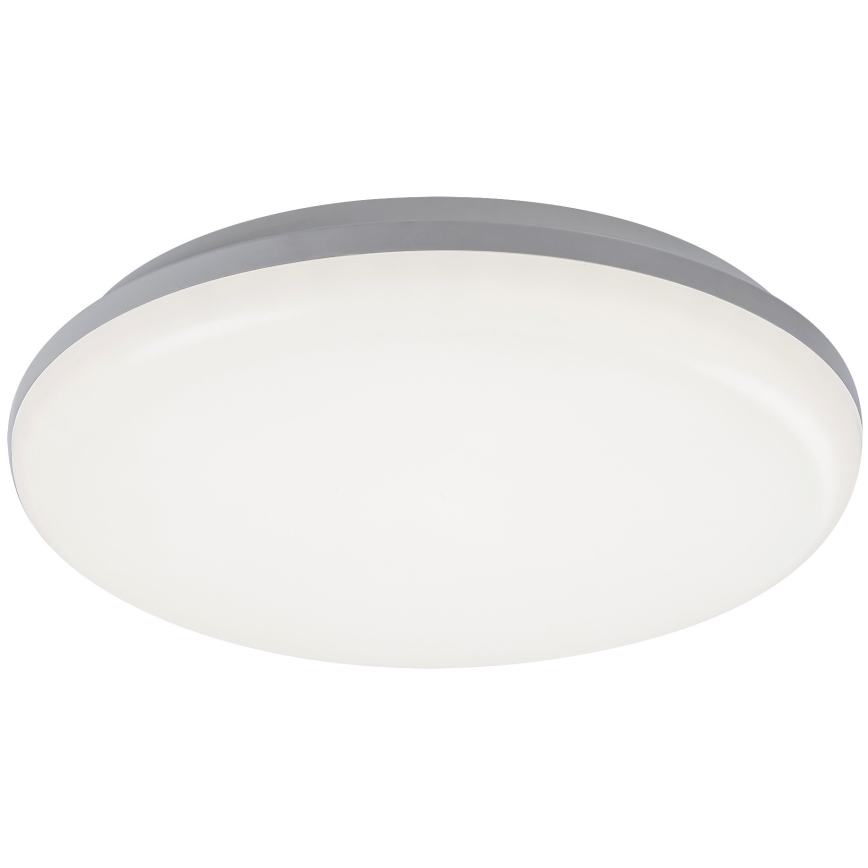 Rabalux - LED spoljašnje plafonsko svetlo LED/24W/230V IP64