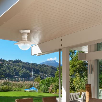 Rabalux - Spoljašnja plafonska lampa 1xE27/60W IP44