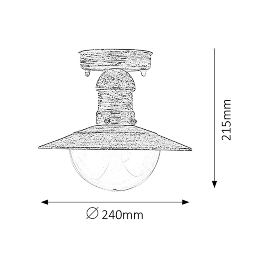 Rabalux - Spoljašnja plafonska lampa 1xE27/60W IP44